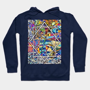 Bunte Vielfalt Hoodie